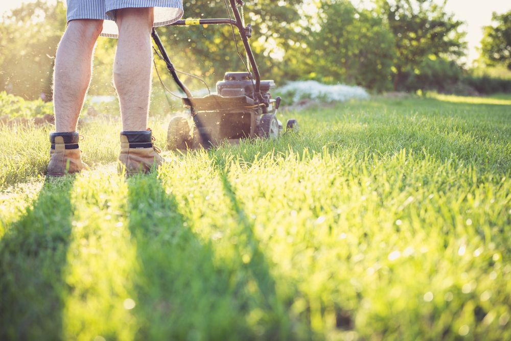Gardening